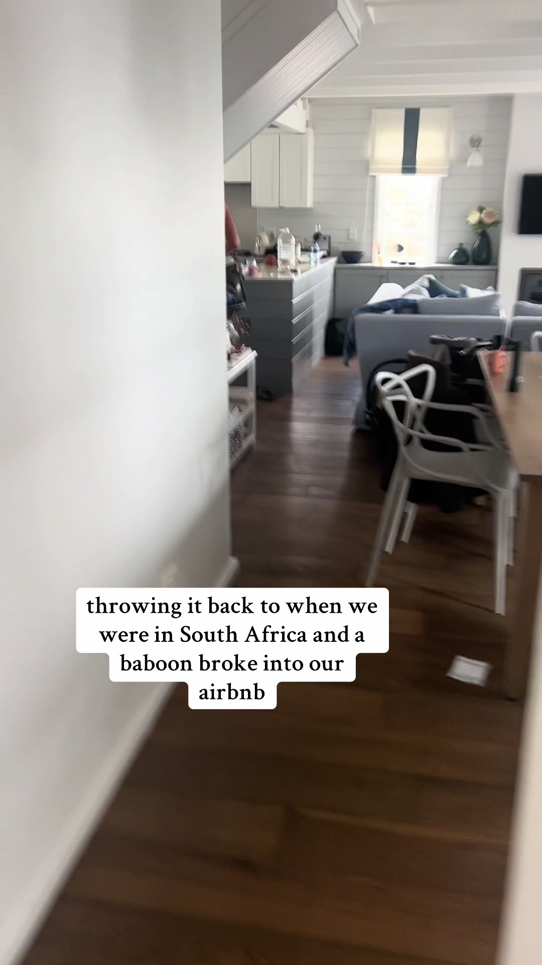 a destination wedding in Cape Town, South Africa and we didn’t know about the baboons…. shoutout to our brother-in-law for taking care of things while we were off shooting a wedding 🤣#weddingphotographer #destinationweddingphotographer 