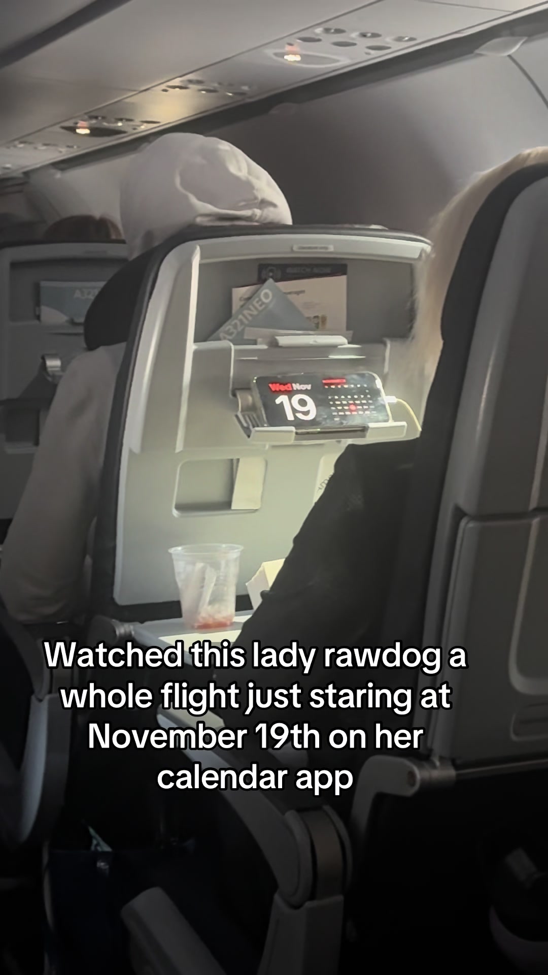 I’ve never seen anyone go strictly calendar app on a plane before I respect it. Must of been hoping some plans would come up during the flight #fyp #plane #flight #travel