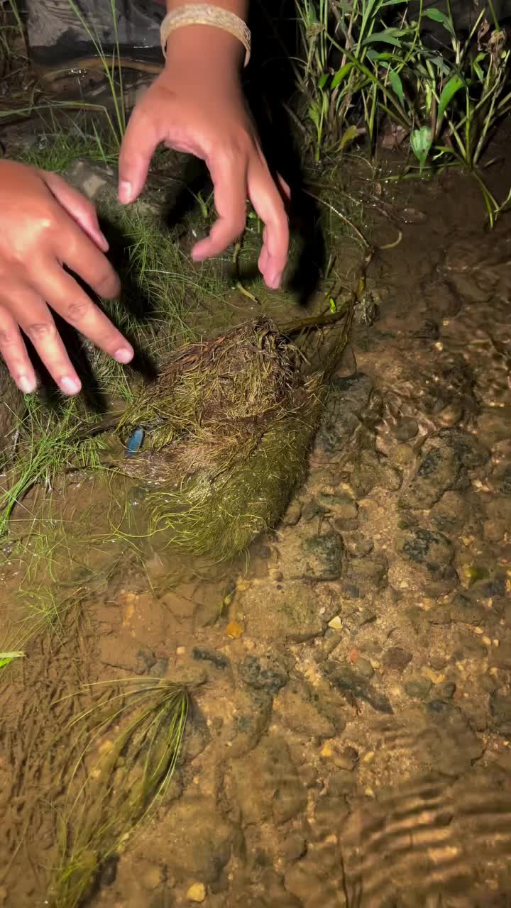 #fishtok #viralvideo #fishing #unitedstates ##usa 