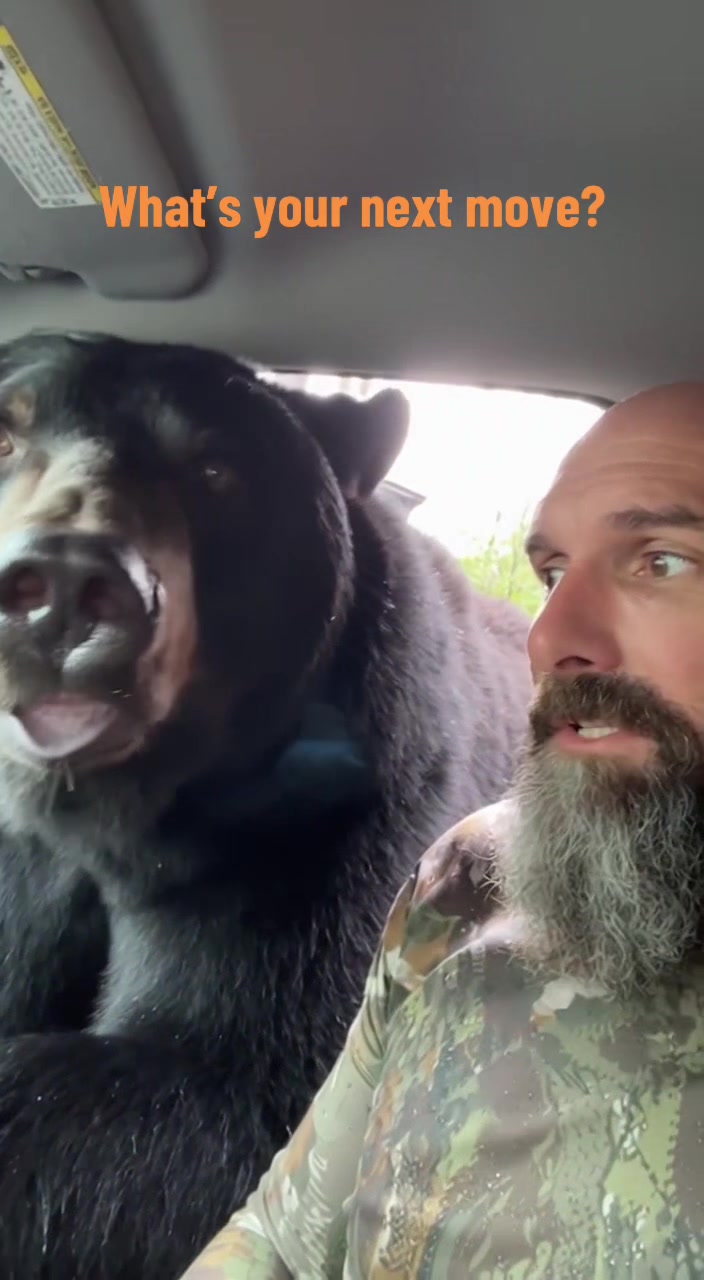 So a bear dropped by. #countrylife #huntingseason #farmlife #swgeorgia 