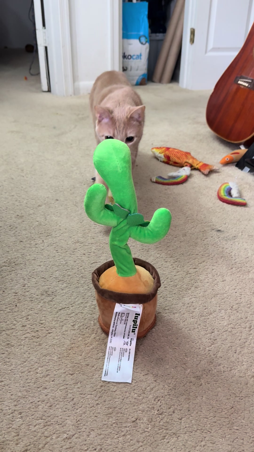 He gone pt.3 😂 #cats #catsoftiktok #catlover #funnycats #funny 