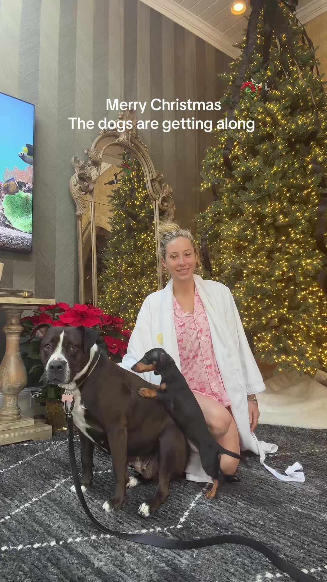 Mr pickles won’t stop