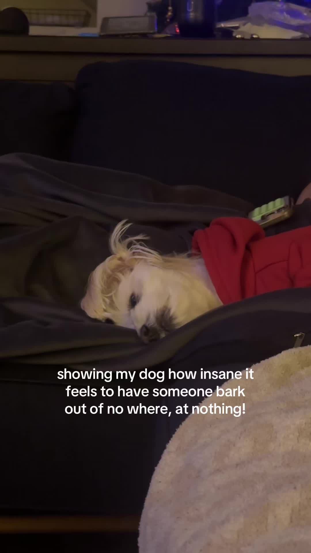 karma, Frankie. karma 