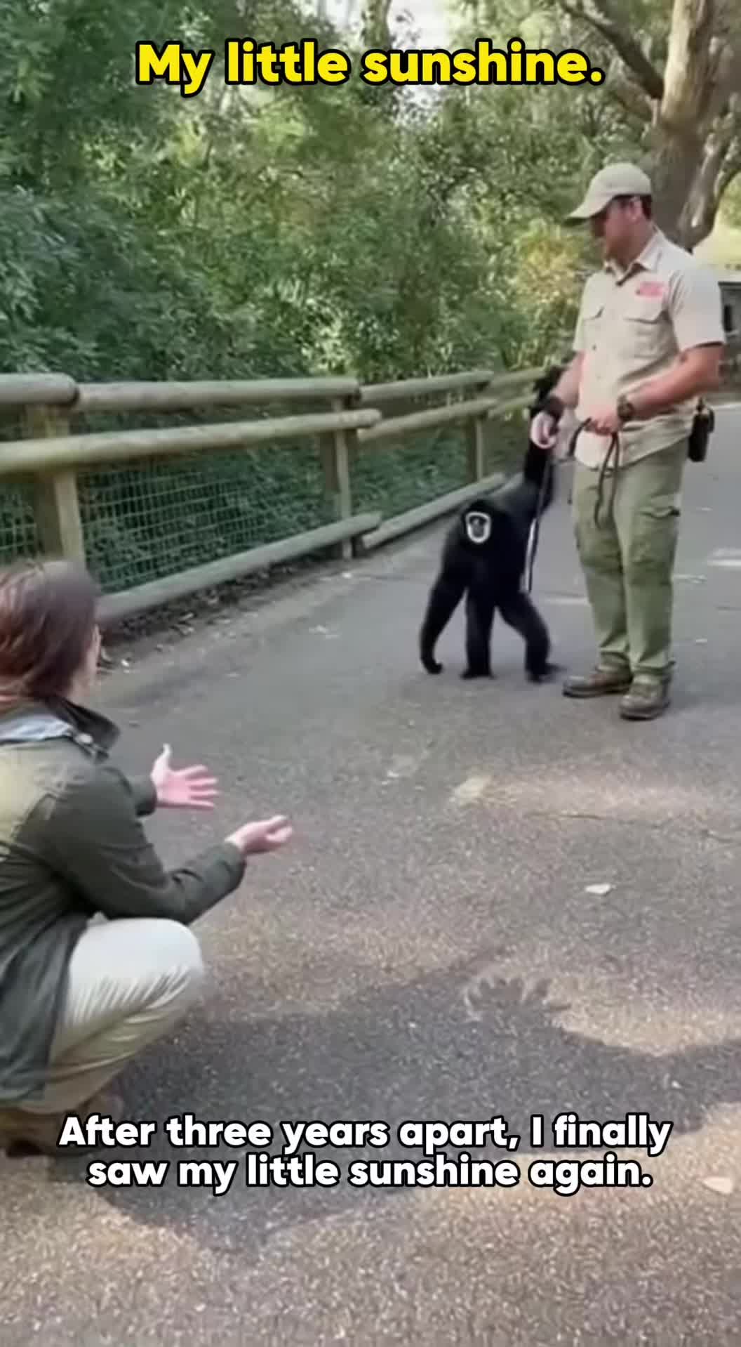 The Long-Awaited Reunion❤️ #fyp #foryou #monkey #love #reunion