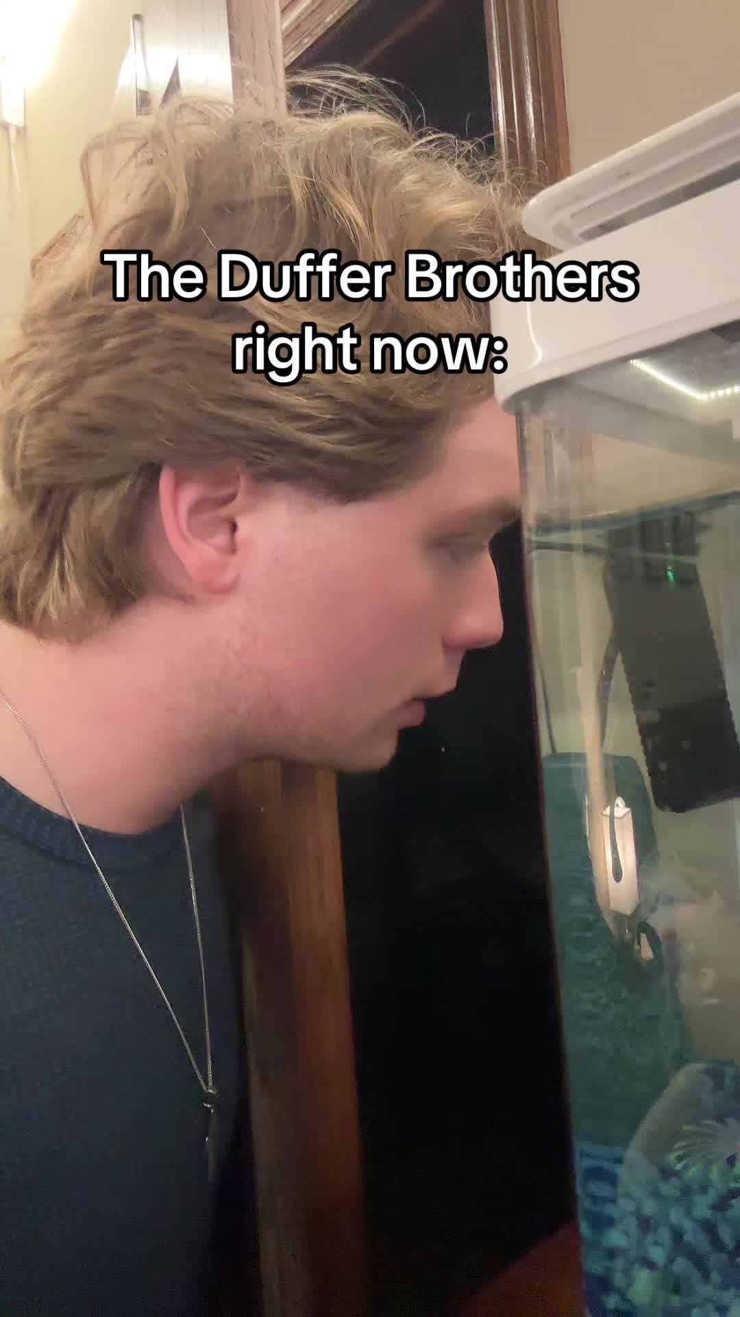 I mean where did we get the idea for “conformity gate” from because this is WILD. @Stranger Things #fyp #strangerthings #brothers 