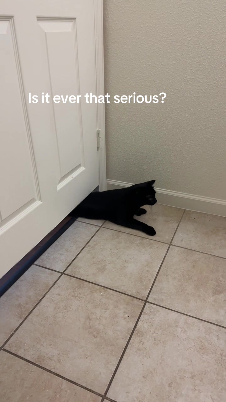 Why? Just WHY? No alone time 