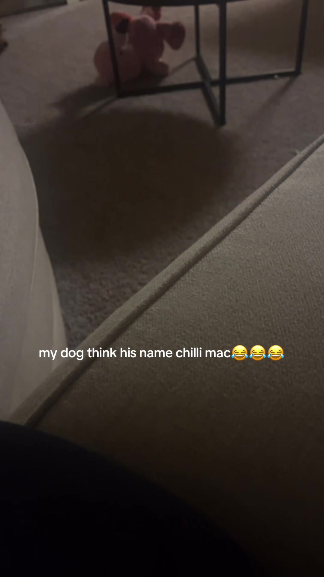 i think ive possibly said it too many times #chilimac 