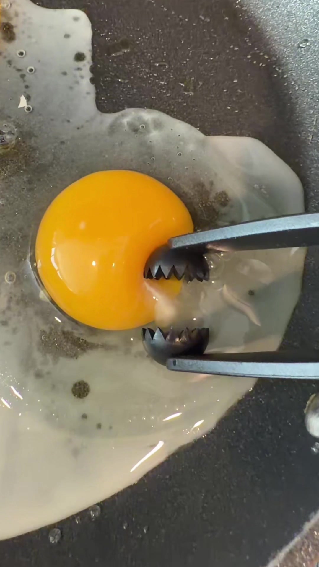 Eggnostic #smallbusinessowner #amazonfbaseller #entrepreneur 