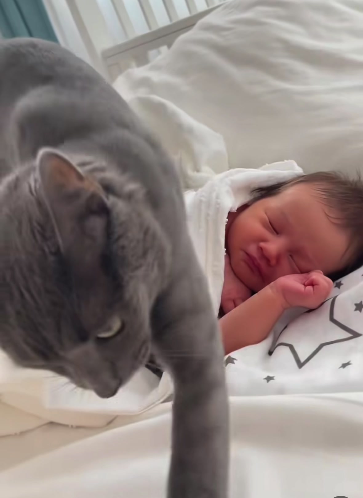 Il croit qu’il n’est pas propre… 🥲 #fyp #child #catfunny 