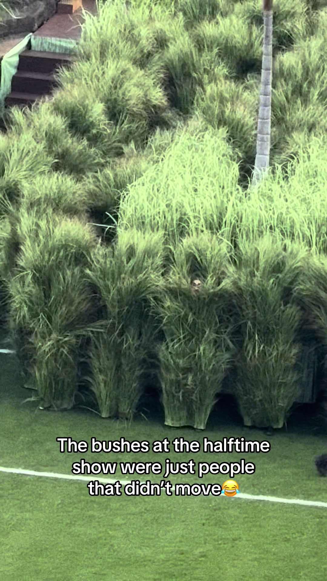 Because of the limited time they have to set up the halftime show it was quicker to have people dressed as grass to quickly walk on and off then it would be to set up a field on its own #superbowl #halftimeshow #badbunny 