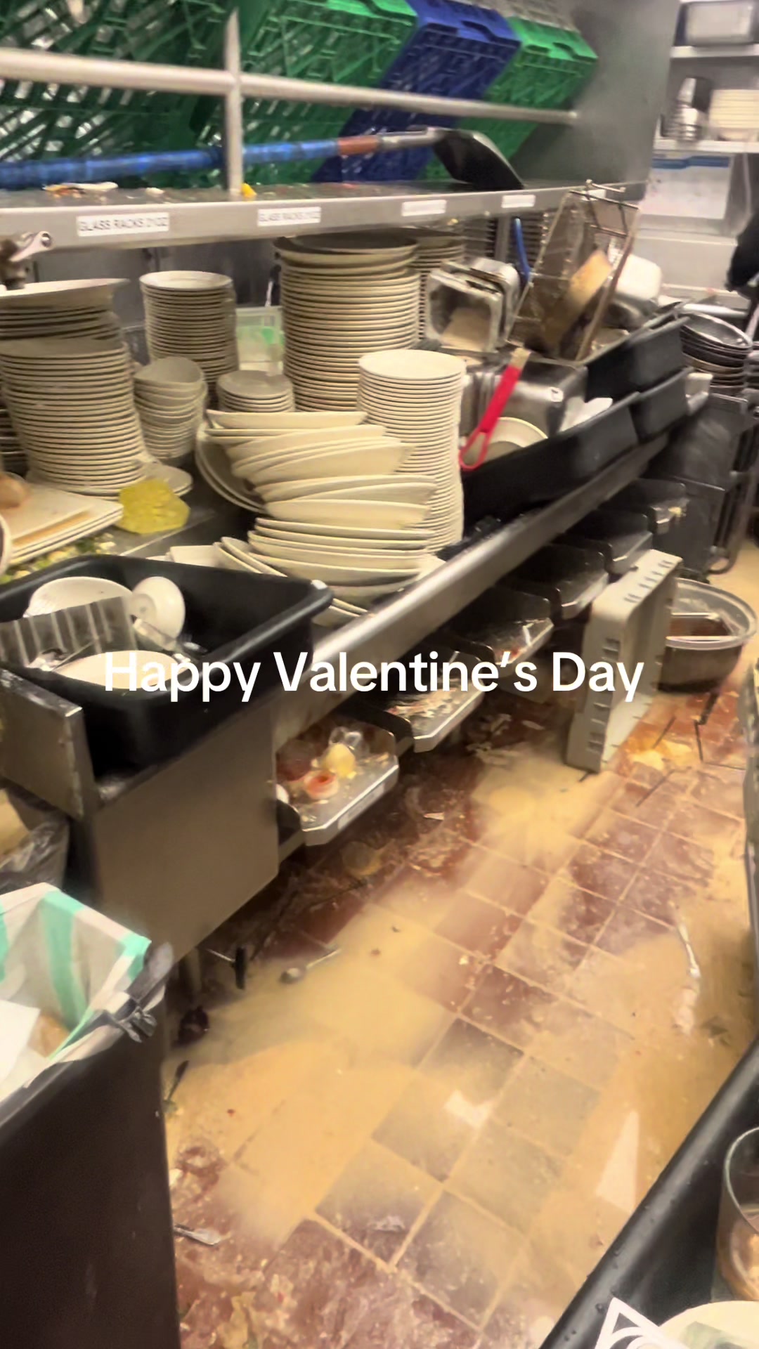 Memories of the dishpit #viral #fypシ 