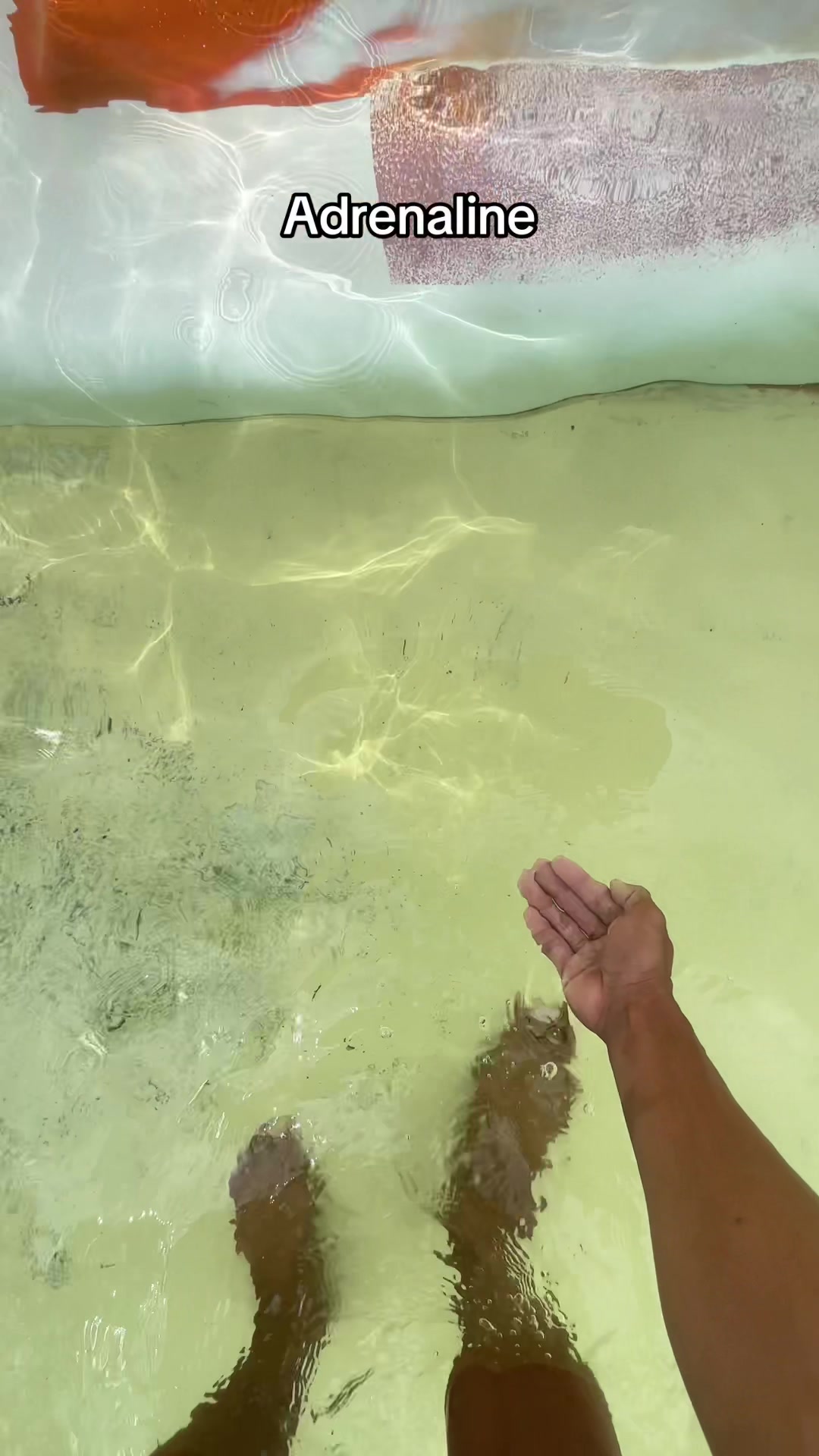 Omg 😱#GreenCreator #dulich #viral #VinWonders #viralvideo 