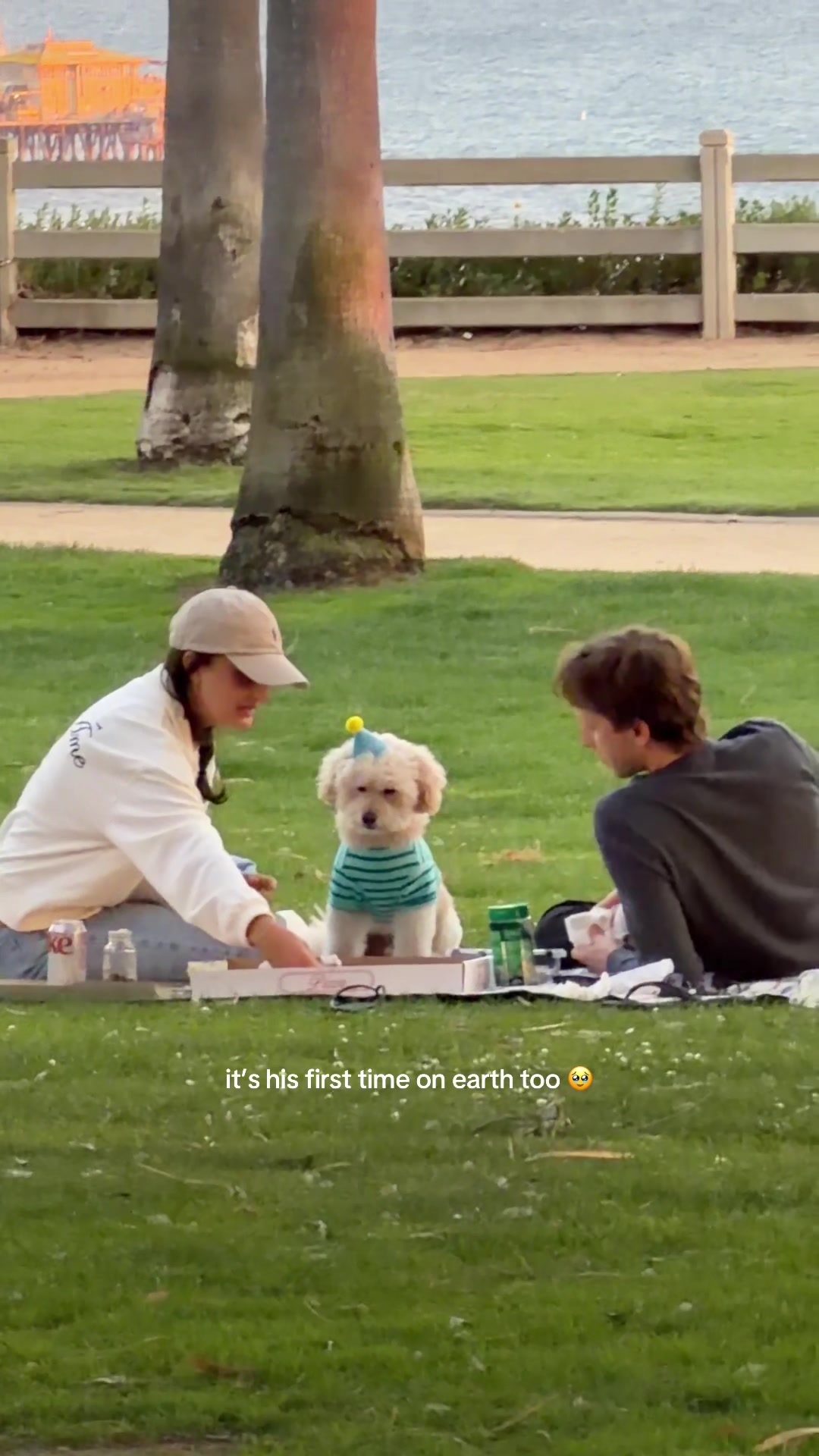 imagine being this loved 