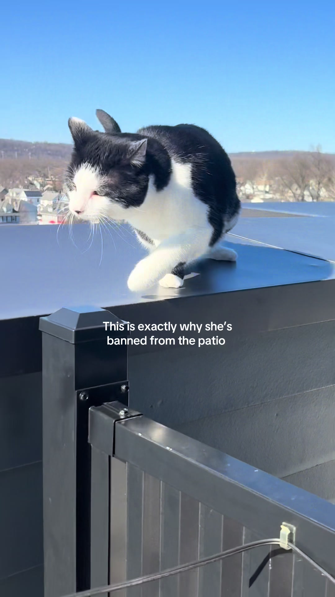 We put up a barrier so she wouldn’t crawl under 😭😭😭😭😭