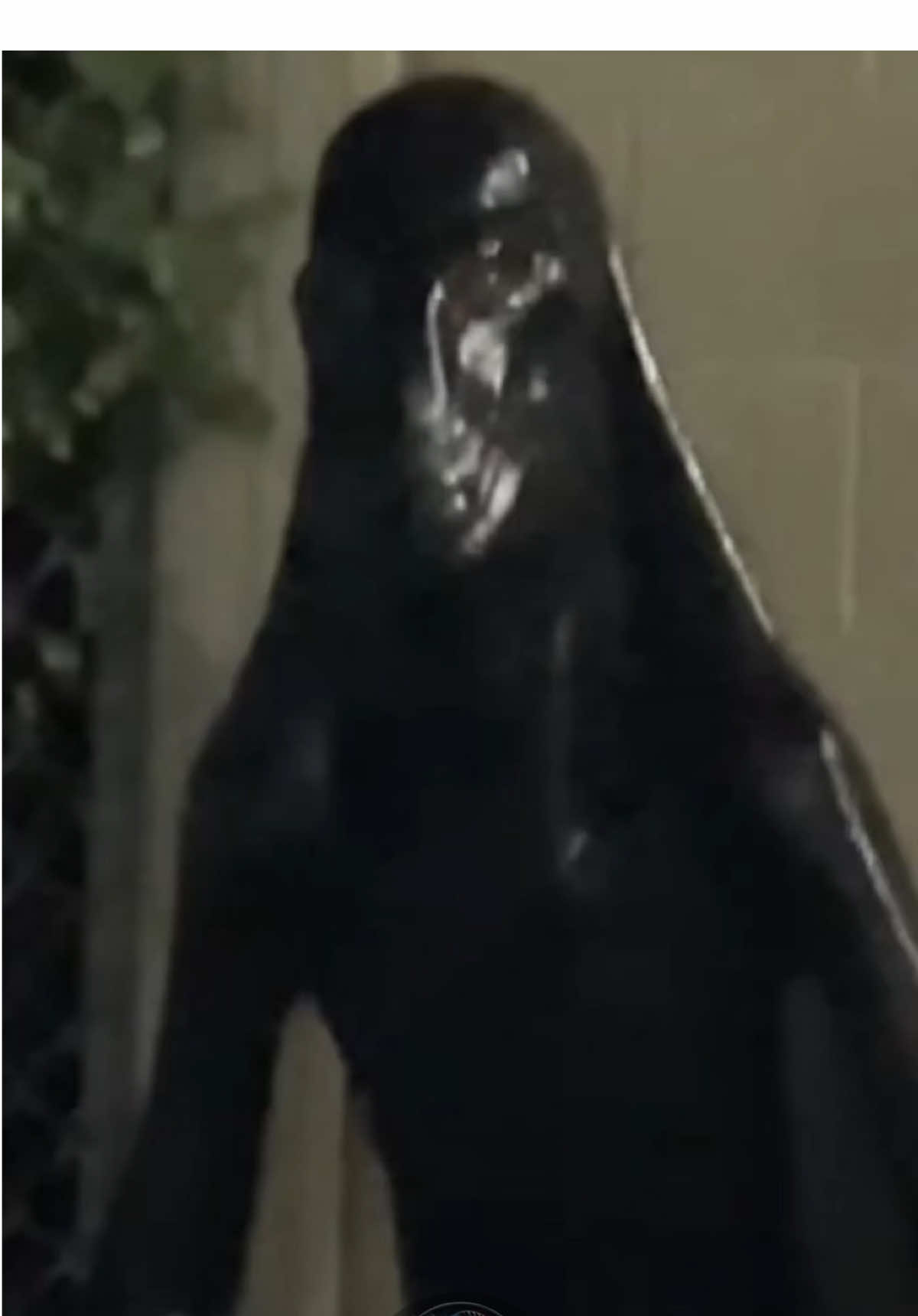 #aliens #conspiracion #reptilianos #criatura #misterios 