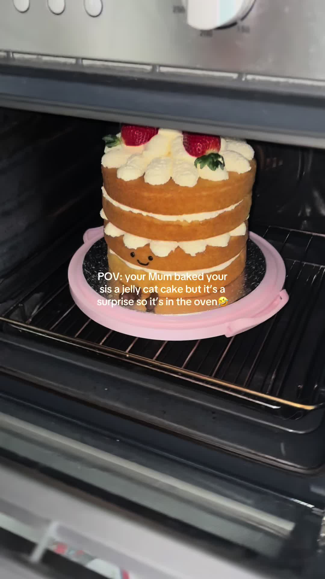 A very niche POV😅🤣 #jellycatcake #jellycat @Nellie72 the best baker ever 🎂🍓