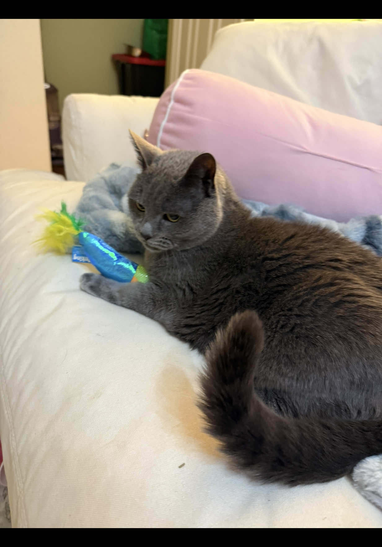 I mean it’d be useful but…