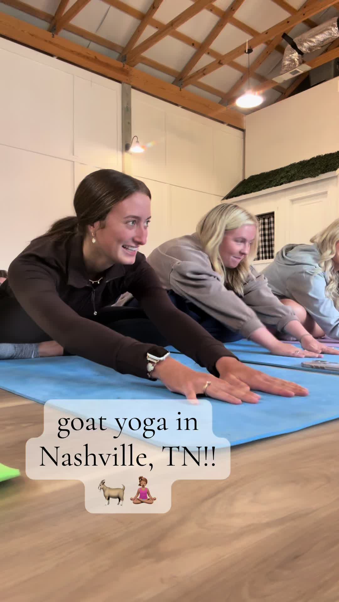10/10!!! the best time! @Goat Yoga Nashville 