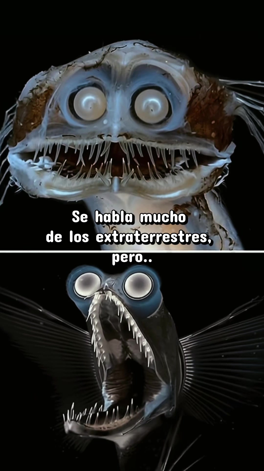 #oceano #misterio #extraterrestre #oceano💀 #fyp 